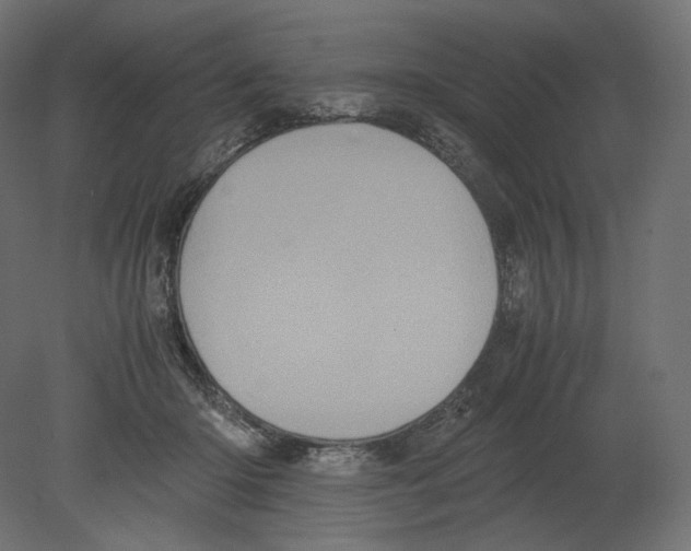 X0000080700414200701121756