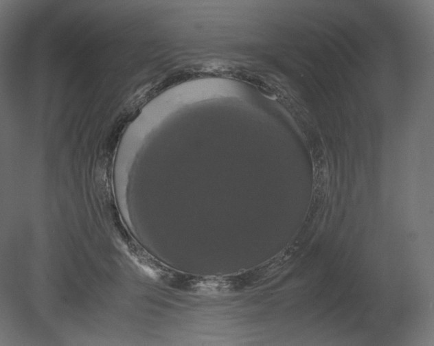 X0000080700415200701121756