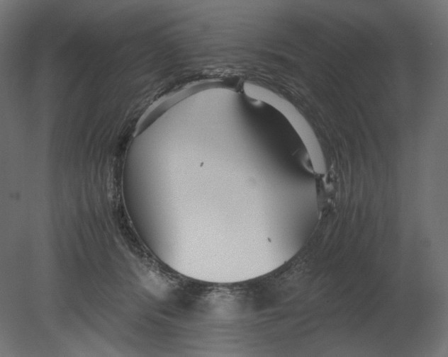 X0000080700416200701121756