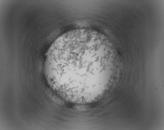 X0000080700417200701121756