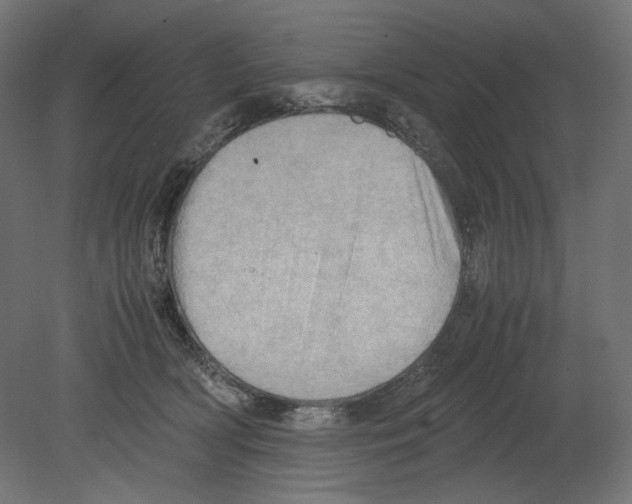 X0000080700418200701121756