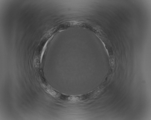 X0000080700419200701121756