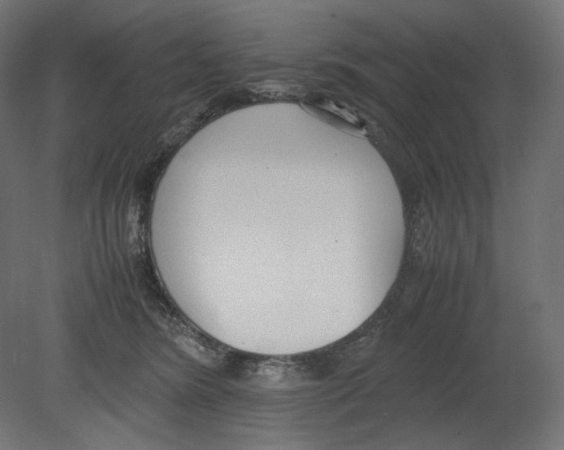 X0000080700420200701121756