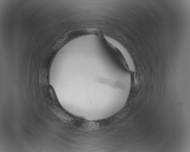 X0000080700421200701121756