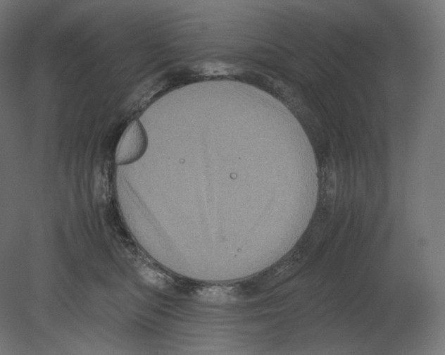 X0000080700422200701121756