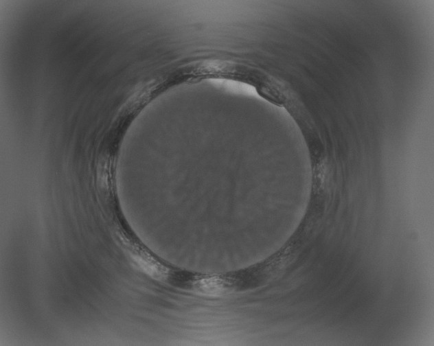 X0000080700423200701121756