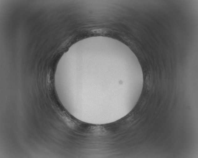 X0000080700424200701121756