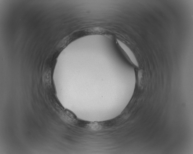 X0000080700425200701121756