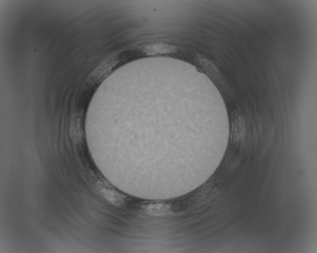 X0000080700426200701121756