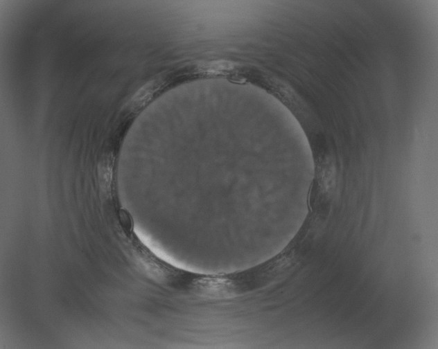 X0000080700427200701121756