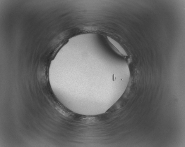 X0000080700428200701121756