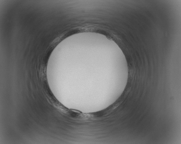 X0000080700429200701121756