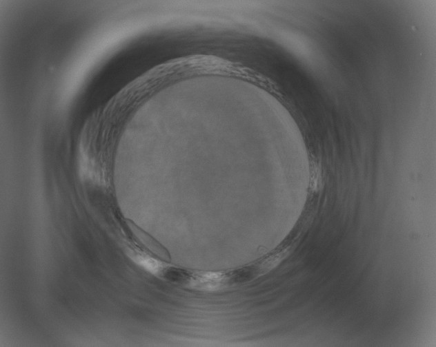 X0000080700431200701121756