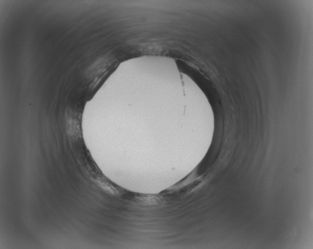 X0000080700432200701121756