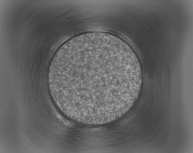 X0000080700433200701121755