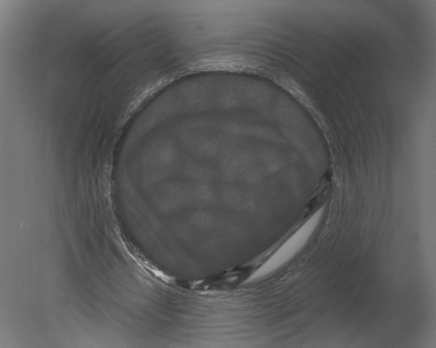 X0000080700434200701121755