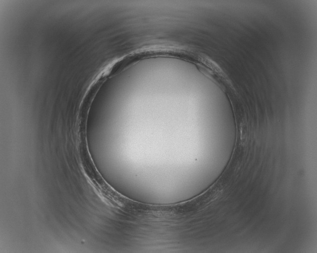 X0000080700436200701121755