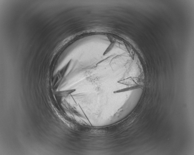 X0000080700437200701121755