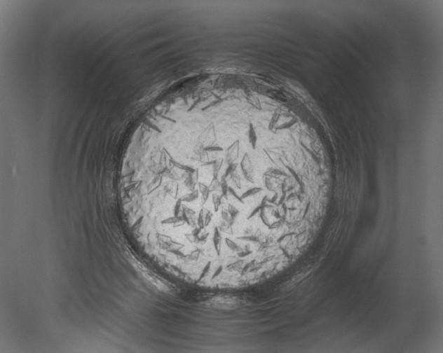 X0000080700441200701121755