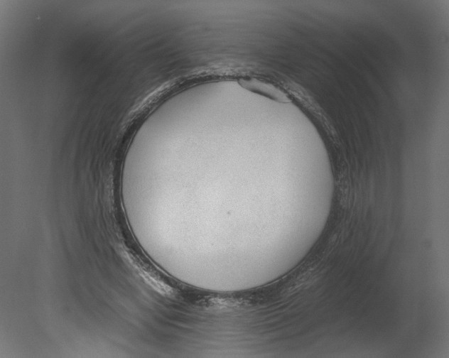 X0000080700442200701121755