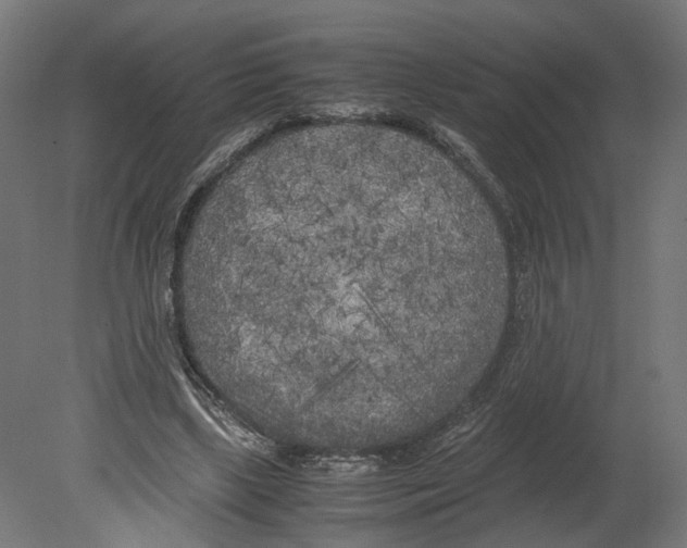 X0000080700443200701121755