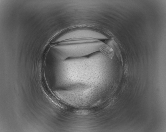 X0000080700444200701121755