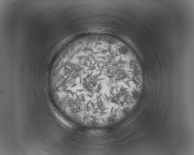 X0000080700445200701121755