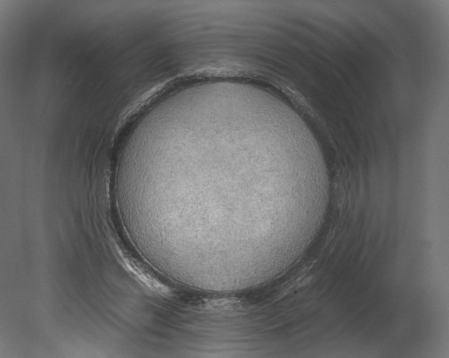 X0000080700446200701121755