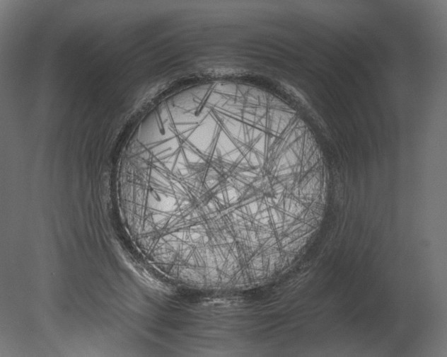 X0000080700447200701121755