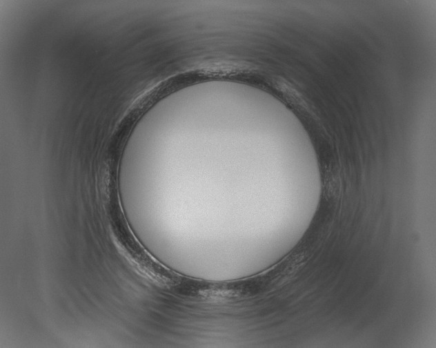 X0000080700448200701121755