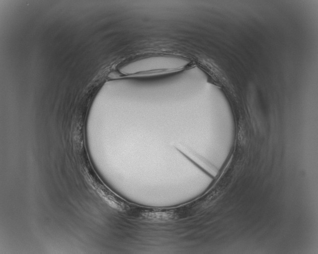 X0000080700449200701121755