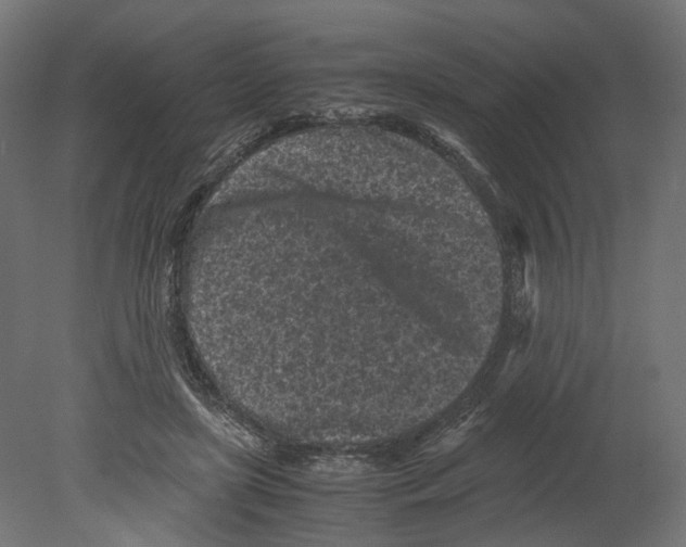 X0000080700451200701121755