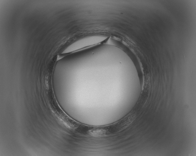 X0000080700452200701121755