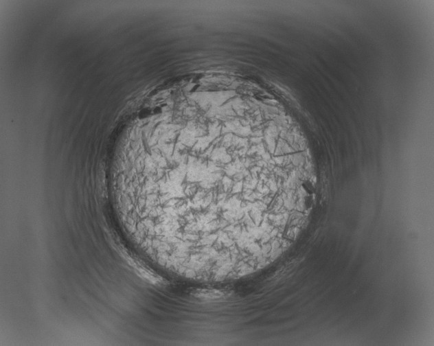 X0000080700453200701121756