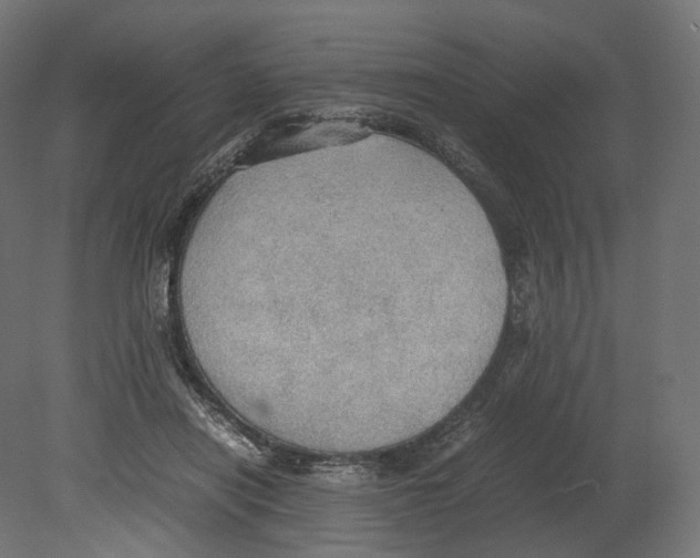 X0000080700454200701121756