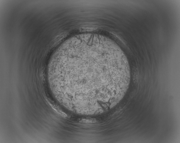 X0000080700455200701121756