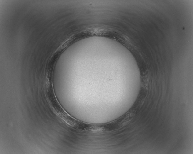 X0000080700456200701121756