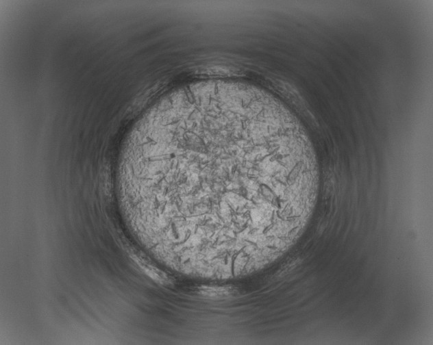 X0000080700457200701121756