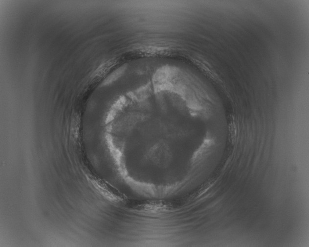 X0000080700458200701121756