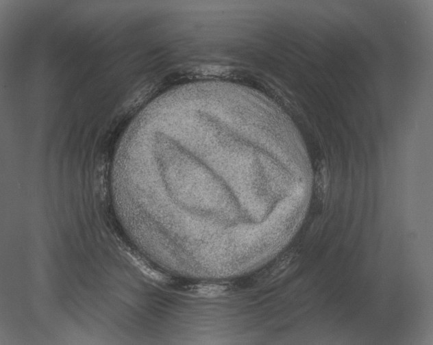 X0000080700462200701121756