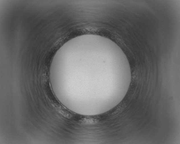 X0000080700464200701121756