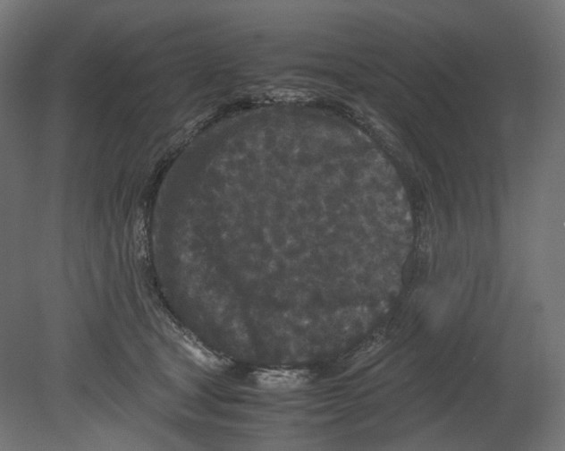 X0000080700465200701121756