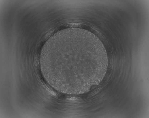 X0000080700467200701121756