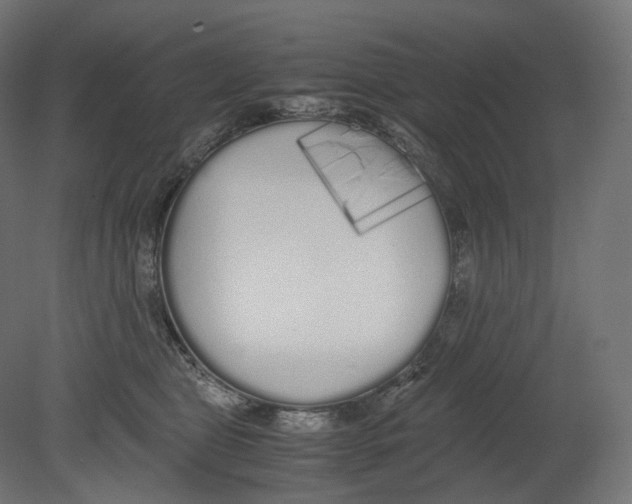 X0000080700469200701121756