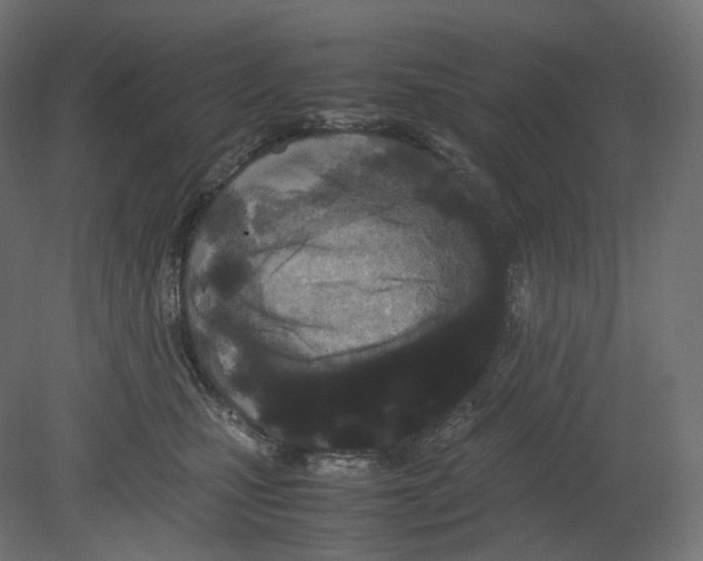 X0000080700471200701121756