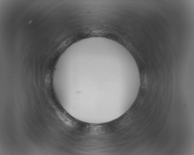 X0000080700472200701121756