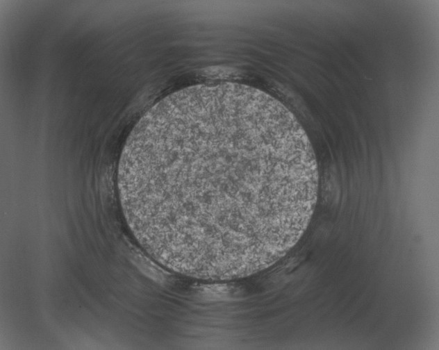 X0000080700473200701121756