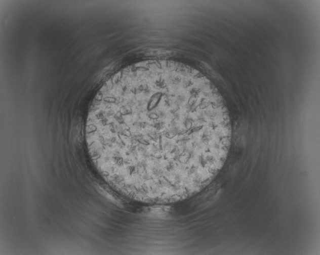 X0000080700474200701121756