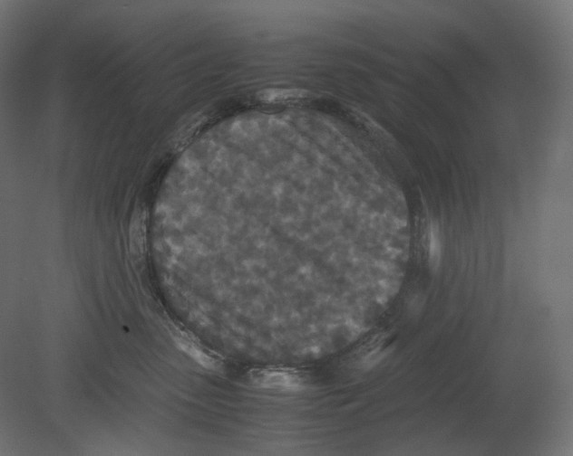 X0000080700475200701121756