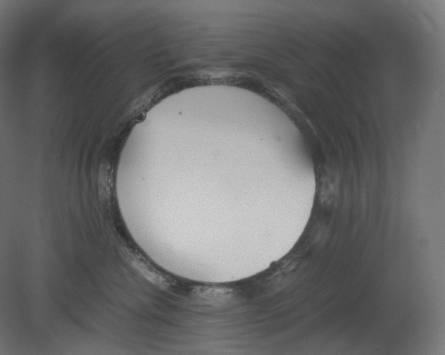 X0000080700476200701121756